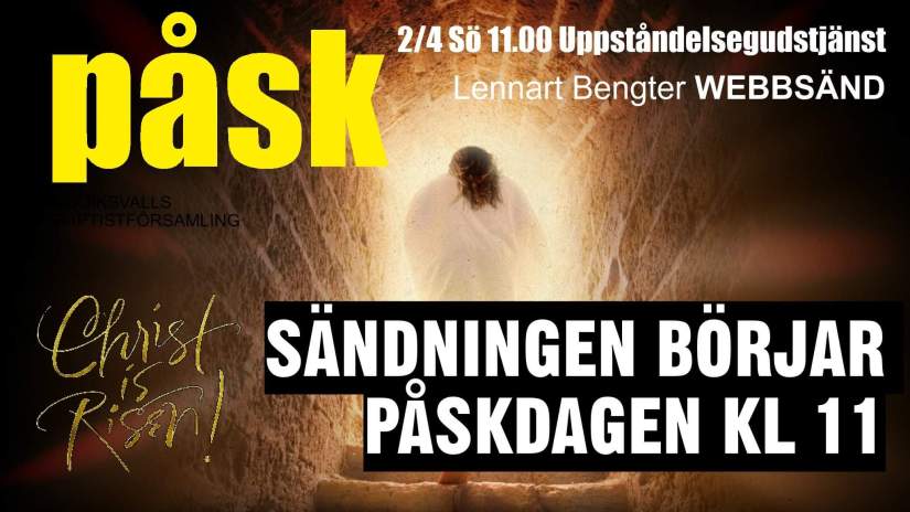 received_2403049853319480