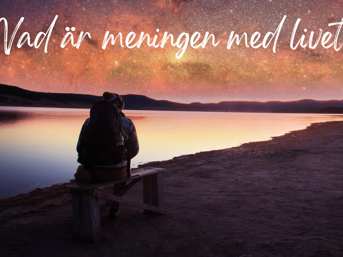 Vad är meningen med&nbsp;livet?